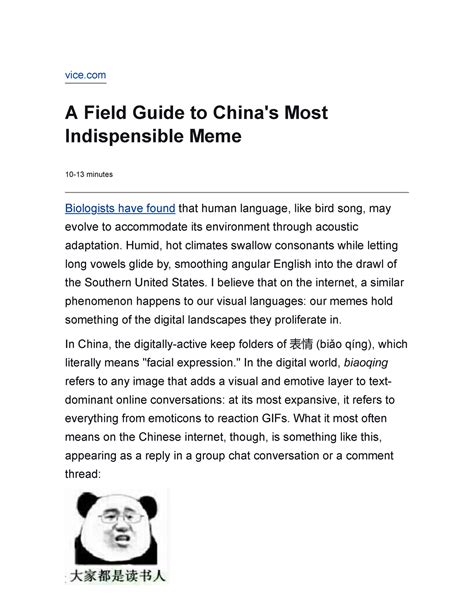 chinese panda meme|A Field Guide to China's Most Indispensible Meme.